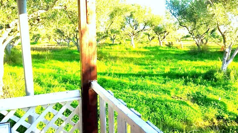 Casa Katina , Villa In Lagana, Agrilia Area ラガナス エクステリア 写真
