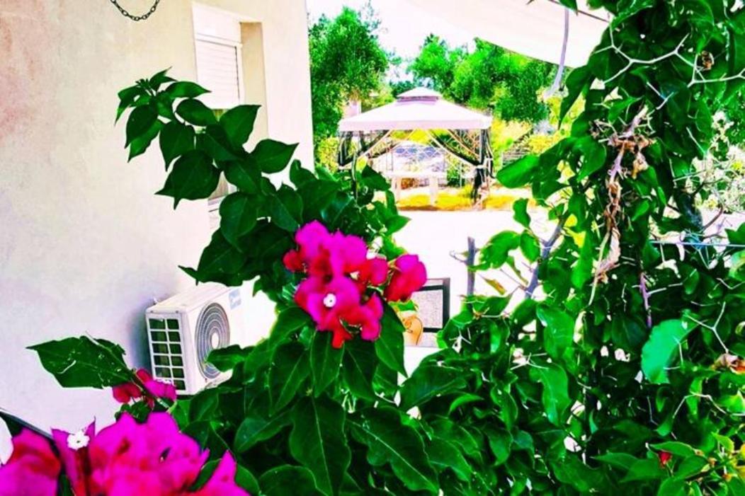 Casa Katina , Villa In Lagana, Agrilia Area ラガナス エクステリア 写真